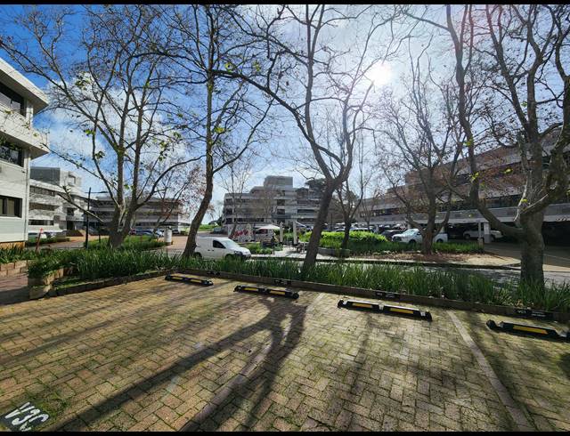 1,036M² OFFICE TO LET IN PINELANDS